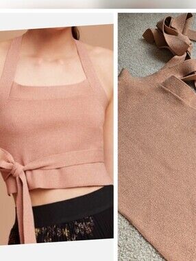 Aritzia Wilfred Cayenne Criss Cross Top Dusty Metallic Rose Womens Size Large